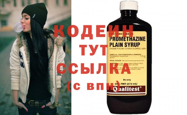 гашик Дмитриев