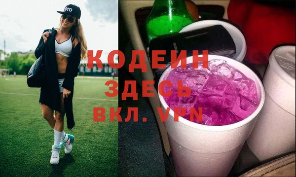 гашик Дмитриев