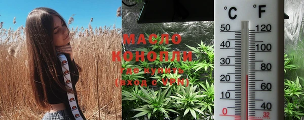 соль курить ск Дмитровск