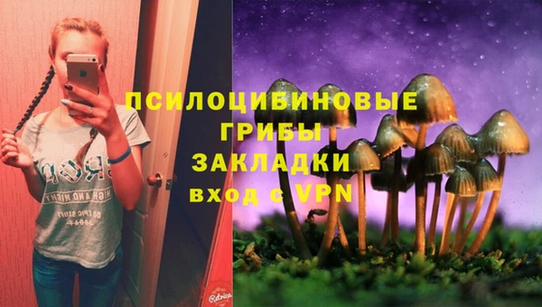 герыч Дмитров