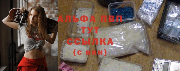 гашик Дмитриев