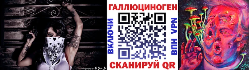 Купить Калининск Псилоцибиновые грибы мицелий